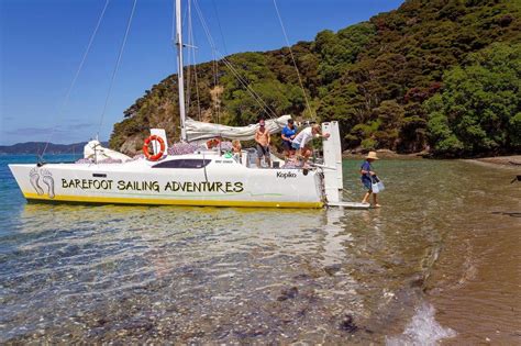 Find popular and cheap hotels near Action World in with real guest reviews and ratings. . Barefoot sailing adventures paihia